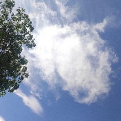 VinayCN_'s profile picture. 