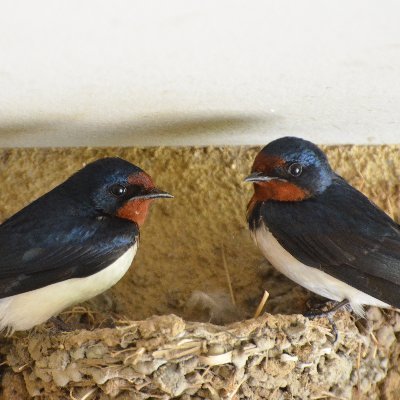 6GTg5jQqSHAiSQq's profile picture. アニメ好き、SF好き、ファンタジー好きで、その手の小説も書いています。
ゲンロンSF創作講座第6期受講生、第8期聴講生です。