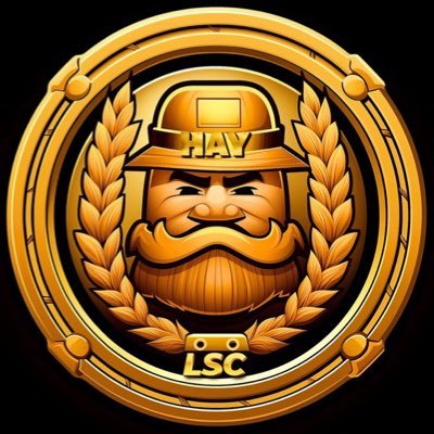 HayCoinLSC Profile Picture