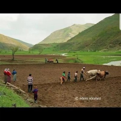 taşralı stajyer
hayat üniversitesinin arka kapısından tekmeyle mezun oldum.