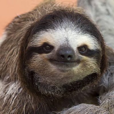 眠…弟が使ってますこっちサブにしようかな