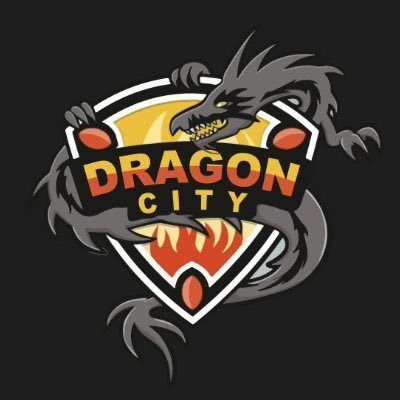 DragonCityNet6 Profile Picture