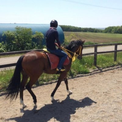 kenshiro__ytb's profile picture. 【新米競馬YouTuber】