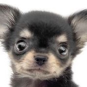 Toma555555's profile picture. 茨.それ用の垢.