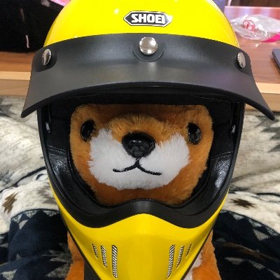 WW98qz1bTd55310's profile picture. 塗りムラ、ボンドはみ出し、スキマ、考証ミス、気にせず作るのみ。