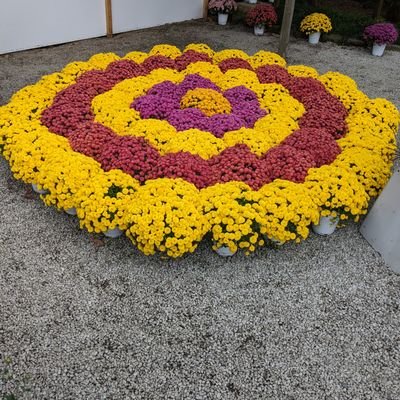 双極性障害2型。強い確認癖有り。地方公務員を51歳で早期退職。私1日8時間で週3日のパートの仕事に従事して7年目(介護施設の調理補助→雑役)。障害者雇用。父一昨年逝去。母認知症でグループホーム入所中。好きな格言「この世に無駄なモノは無い」「大きな事は小さな事の積み重ね」。未婚。実弟とは28年前に死別。休日の散歩が趣味。