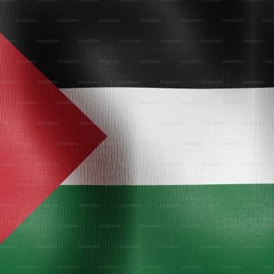 RidaRafiSyed's profile picture. I'm a Web and Software Developer and an Illustrator. Work as a Full stack developer