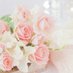 桜子 (@junkon04182645) Twitter profile photo 桜子 (@junkon04182645) Twitter profile photo
