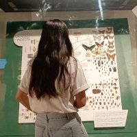 Iya Anna, CTT (@acpmcpa) Twitter profile photo
