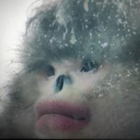 Tamka Reseta #Trza! (@tamkareseta) 's Twitter Profile Photo Tamka Reseta #Trza! (@tamkareseta) 's Twitter Profile Photo