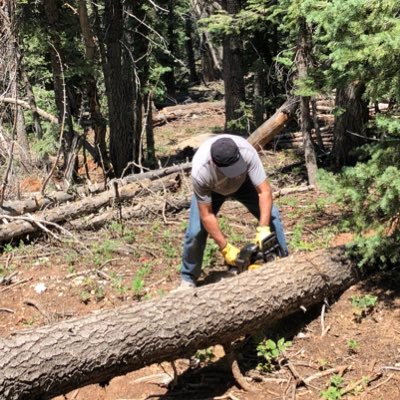 Richard79486's profile picture. 