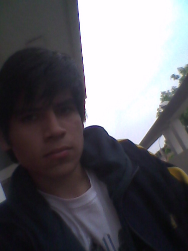 EverLv's profile picture. 