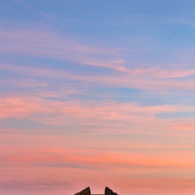 RuizBessie49297's profile picture. 