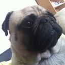 Joseph Vo - @JoeVo - Twitter