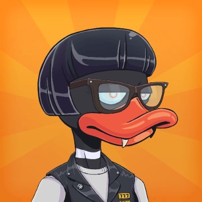 FBernie49597's profile picture. 