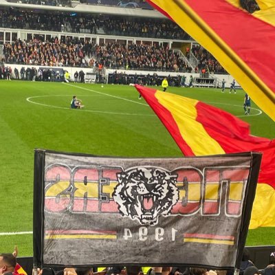 descamp36796988's profile picture. Lens ❤️💛