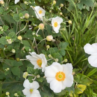 dance7683's profile picture. 