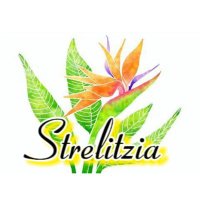 Strelitzia (@strelitzia__scs) 's Twitter Profile