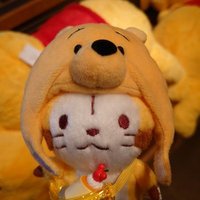 ちえなむ@ラスカル🦝🌽趣味垢🚗🎮 (@rascalengawa) 's Twitter Profile Photo ちえなむ@ラスカル🦝🌽趣味垢🚗🎮 (@rascalengawa) 's Twitter Profile Photo