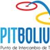 PIT Bolivia (@pitbolivia) Twitter profile photo