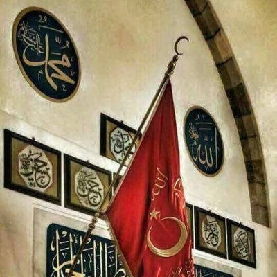maligneoplazm's profile picture. Padişahın kızını Keloğlan aldı, biliyor musun? 🌸