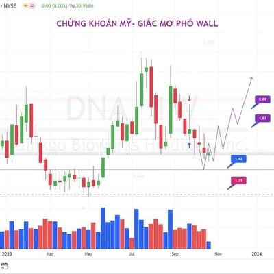 Hỗ trợ đầu tư chứng khoán, xây dựng cộng đồng đầu tư,  kênh đầu tư chứng khoán Việt, chứng khoán Mỹ chuyên nghiệp.