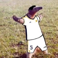 Martin Perrott (@martin_perrott) Twitter profile photo