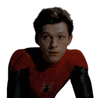 𝓟𝗘𝗧𝗘𝗥 (@spideybx) 's Twitter Profile Photo