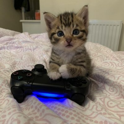 _alaan7's profile picture. ♤