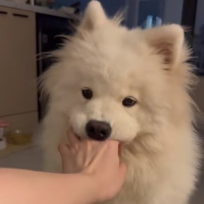 yanlifacai's profile picture. 25 ↑