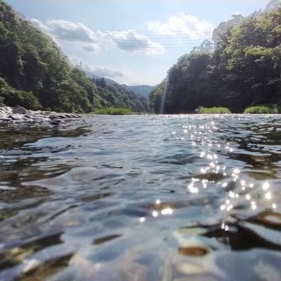 monkey9679's profile picture. 大阪出身の社会人（島本一中→三島高校→同志社）  漫画/将棋/運動/自然