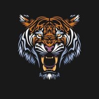 محمد (@mocvjl) 's Twitter Profile