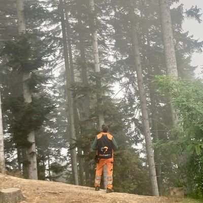 woodsdrone's profile picture. 