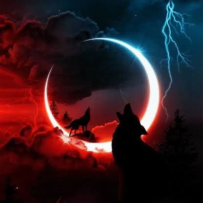 mmwd4392011's profile picture. 