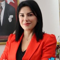 Saadet Özkan(@SaadetOzkanEfe) 's Twitter Profile Photo