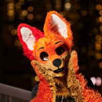 Karoit (@karoit_dingo) 's Twitter Profile