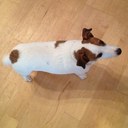 Adrian Keating - @AJKplus5 - Twitter