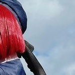 ちもちも @低浮上 (@furby_compass) 's Twitter Profile