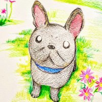 保護犬シェルター石松家（いぬねこプロジェクト桐生支部）(@inunekoP_kiryu) 's Twitter Profile Photo