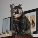 Scott Robbins - @scottybaseball - Twitter