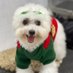 Lovely PET (@lovely_pet95) Twitter profile photo Lovely PET (@lovely_pet95) Twitter profile photo