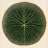 sunhouseorg's profile image