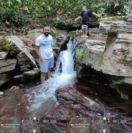 pekdogan_ersan's profile picture. ...