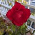 @A0NF9ACWeyaZmpD