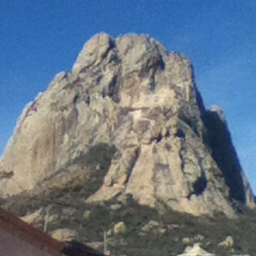 Rleal59's profile picture. 