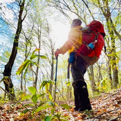 いわてTM346/JQ7DQO