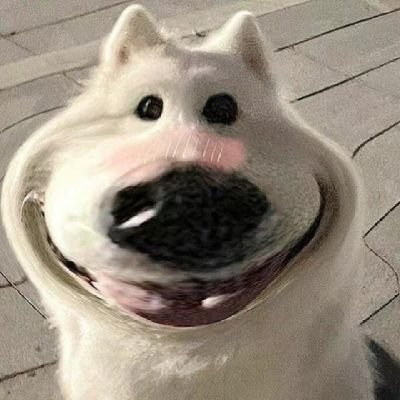 pppphatttttth's profile picture. 