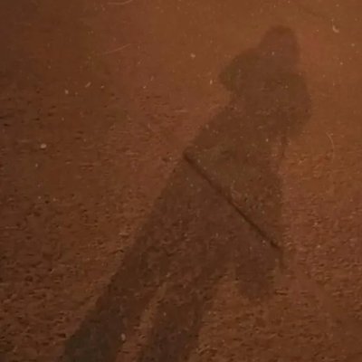 BetsabeAlishon's profile picture. 