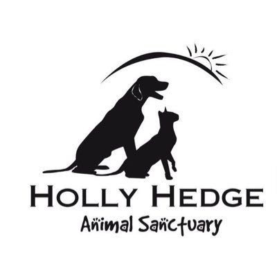 Animal Sanctuary rescuing, rehabilitating & rehoming 1000 dogs & cats a year. 01275 474719 https://t.co/VT5RWc0wGZ info@hollyhedge.org.uk Reg Charity no 294606