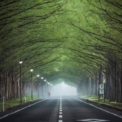 alateeq_stq's profile picture. الحَـيآة جَميِلة
 وَلكن .. أعطُوهآ حَقهآ مِنْ التفآؤل
كَي تُعطيكم حَقكمْ مِن السعآدة . . .